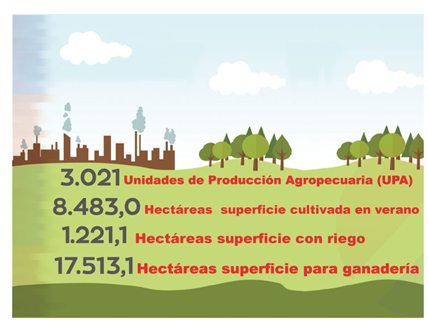 El desafío del desarrollo local en Vallegrande: entre potencial y ejecución
