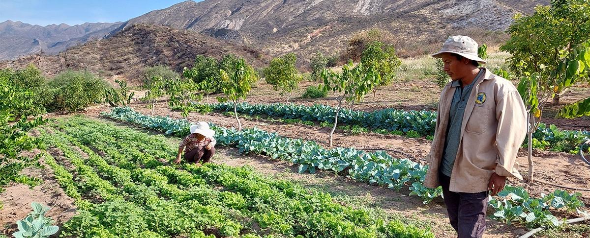 Productores de Vallegrande refuerzan medidas ante el descenso de temperaturas y posibles heladas