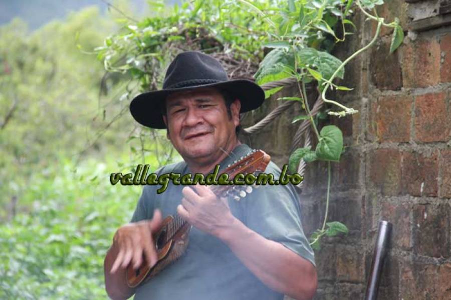 charango